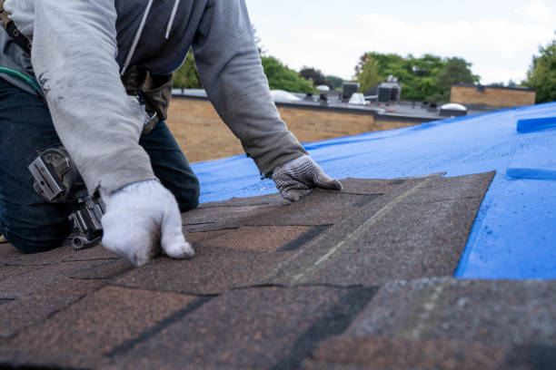 Best Gutter Installation and Roofing  in Lovejoy, GA
