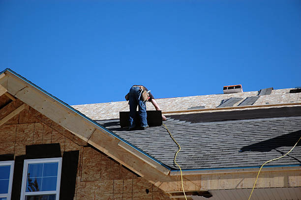 Best Roof Gutter Cleaning  in Lovejoy, GA
